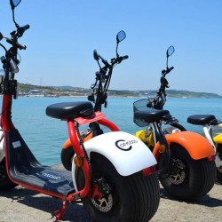 China High Quality EEC Citycoco Electric Scooter, 1000W Fat Tire Electric Bike