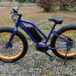 Bafang MID Motor Fat Tyre Mountain Electric Bike