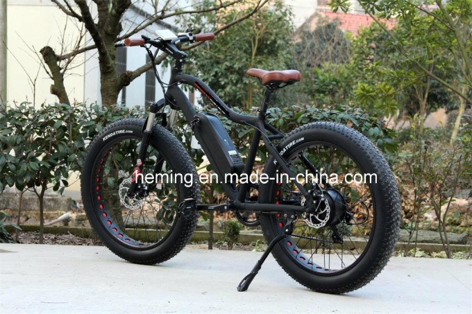 250W Powerful Brushless Motor Fat Tire Electric Bike Image1