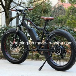 250W Powerful Brushless Motor Fat Tire Electric Bike