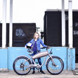 2017 Newest Ce/TUV Standard Fat Tire Electric Bicycle