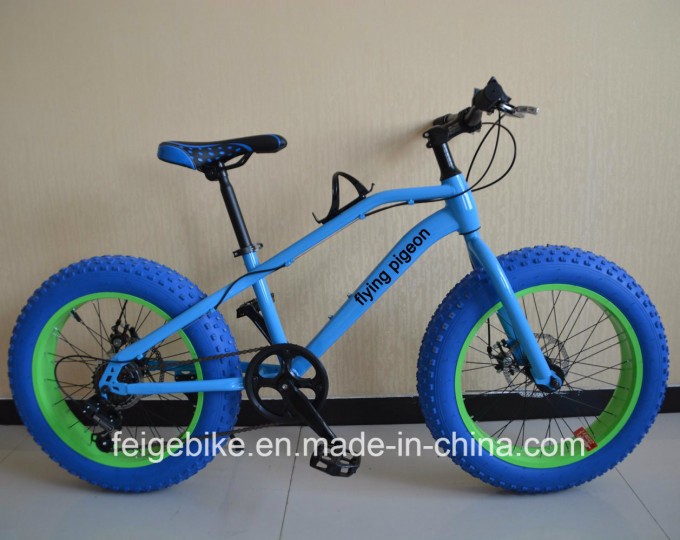 20"*4.0 Fat Tire Rear 6 Speed MTB Teenager Mountain Bicycle (FP-KDB-17031) Image1