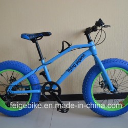 20"*4.0 Fat Tire Rear 6 Speed MTB Teenager Mountain Bicycle (FP-KDB-17031)