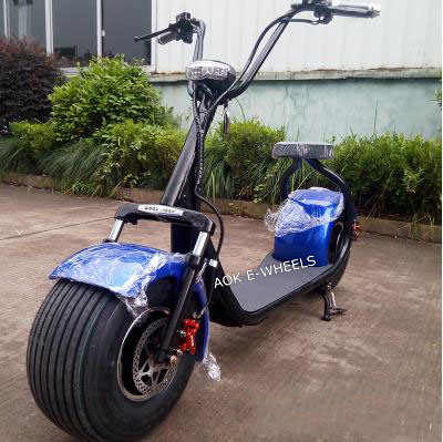 800W 48V Fat Tire Electric Bike for Young People (MES-015) Image1