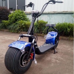 800W 48V Fat Tire Electric Bike for Young People (MES-015)