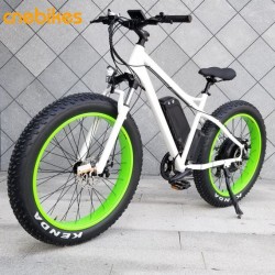 Snow Electric Bicycle 750W Motor Fat Tire 26′ Electric Bike