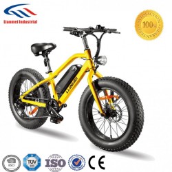 20inch Alloy Frame 4.0 Inch Fat Tire Electric Bike