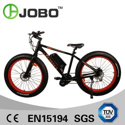 Fat Tire Electric Bike with MID Drive Motor (JB-TDE00L)