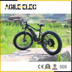 48V 500W Beach Fat Tire Electric Bike with Lithium Battery