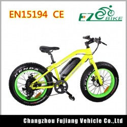 2018 Electric Bike 20inch Fat Tire Mini E Bicycle