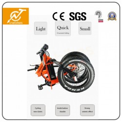 Mini Fat Tyre 36V 250W Folding Electric Bike