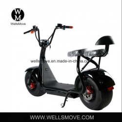 Fat Tire Chopper Bike Bicycle 1000W