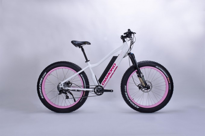 Latest Most Welcomed Hot Selling Lady Fat Tire E Bike Image1