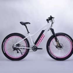 Latest Most Welcomed Hot Selling Lady Fat Tire E Bike