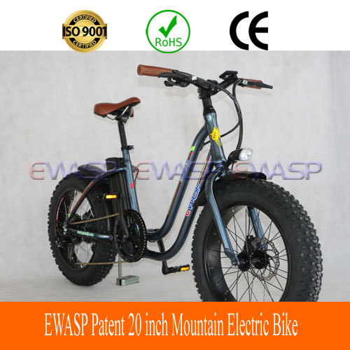 20 Inch Fat Tire Electric Bike for Sale /Electric Mountian Bikes /Electric Cargo Bike Image1