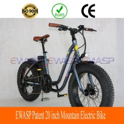 20 Inch Fat Tire Electric Bike for Sale /Electric Mountian Bikes /Electric Cargo Bike