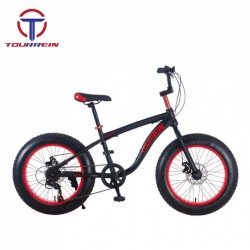 Fashion Full Suspension MTB Steel Fat Tire Snow Bicycle