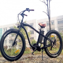 2016 New Style Electric Bikes with Fat Tire