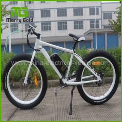 Fat Tyre Mountain Electric E-Bicycle/Ebike for Sale