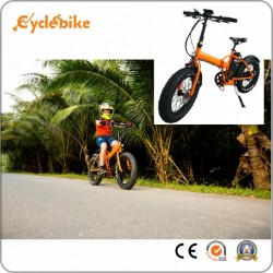 36V 250W 20inch X 4.