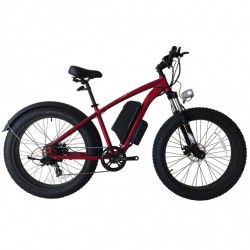 36V 350W Lithium Battery Fat Tire Electric Bike