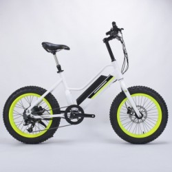Beach Fat Tire Electric Bike for Men Use Lithium Power