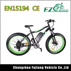 E-Bike Battery Electric Bike with Fat Tire for Europe Market
