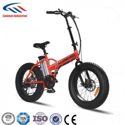 Lianmei Folding Electric Bike with 20 Inch Fat Tire