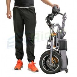 48V 250W Brushless Rear Motor Man Electric Beach Bike Fat Tyre E-Bike