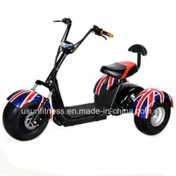 3 Fat Tire Harley Scooter Motorycle Bike of Tricycle