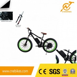 Low Price Beach Cruiser 1000W Electric 26X4 Fat Tyre Bike