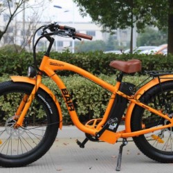 Ce Mountain Electric Bicycle with Fat Tire