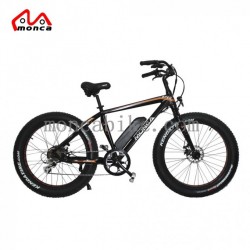 Fat Tyre Electric Bike 500W 750W Motor High Power Fashion Model