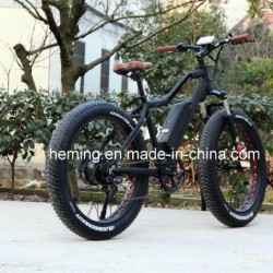 250W Powerful Brushless Motor Fat Tire Ebike