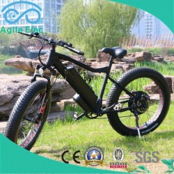48V 500W Motorized F
