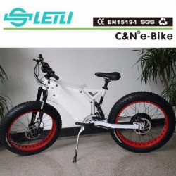 Electric Bike Fat Ti