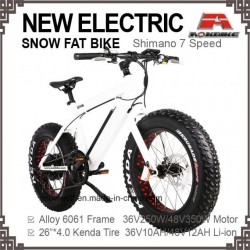 E-Bicycle 26*4.0 Tir