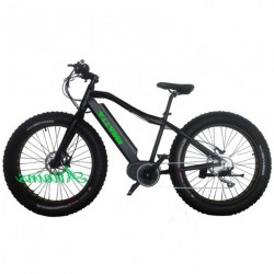Bafang MID Motor 250W Electric Bike 36V 10.4ah Lithium Battery Electric Bicycle
