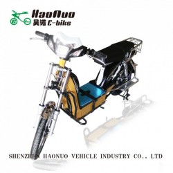 2017 Hot Sell 500W Motor Electric Bike with 60V 20ah Battery