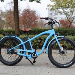 Bafang Motor Electric Bicycle with Ce En15194