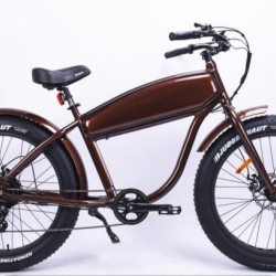 Classical Road Ce China Factory Direct Manufacture Cheap E Bike