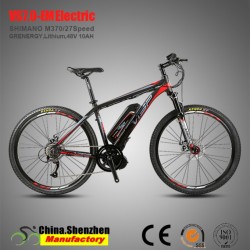 48V350W 36V250W Lithium Battery MID Motor Mountain Electric Bike