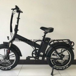 Magnesium Wheel Fat Tire 48V 500W Big Power Electric Bike