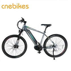 Bafang Max MID Drive Motor Electric Bicycle with Hidden Battery
