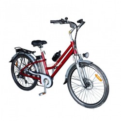 Lithium Battery E-Bike with Front Disk Brake/ Rear V-Brake (TDE-038B)