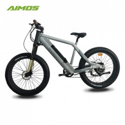 Competitive Price Green Power 1000W Ebike/Electric Bike with Hidden Battery