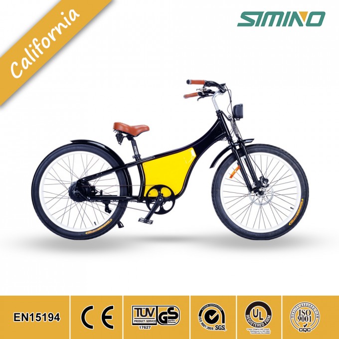 Beach Cruiser Electric Bike Image1