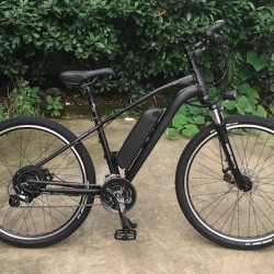 48V 350W Disc Brake E-Bike
