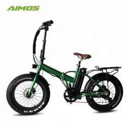 Folding 500W Energy Saving Powerful Snow Electric Bicycle