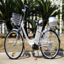Ce Hot Sale High Speed Lead Acid Electric Bicycle